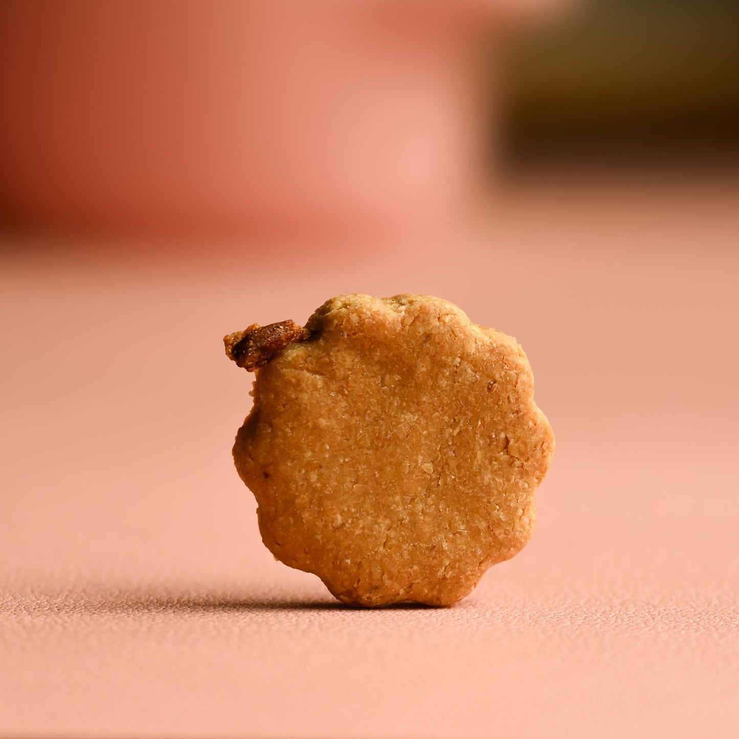 Oink Poink | Gluten free dog biscuit | healthy dog biscuit- Purrcle