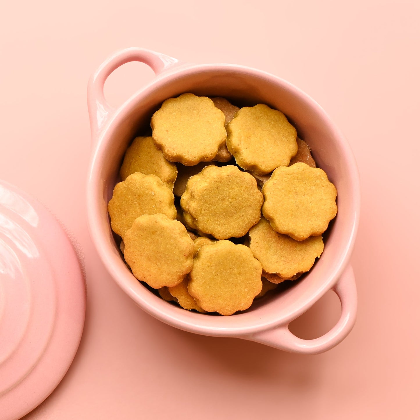 Pumpkin Pie | Gluten free dog biscuit | healthy dog biscuit - Purrcle