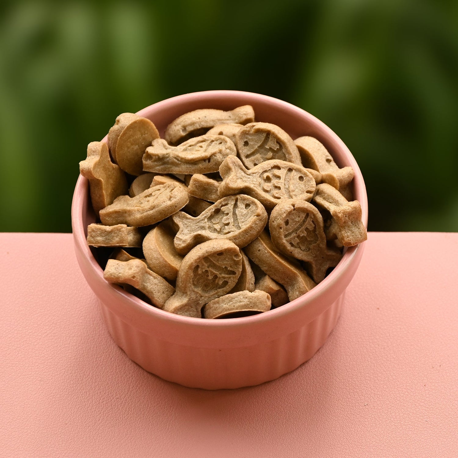 Treats for Cats | Cat Treat | Kitten treat - Purrcle